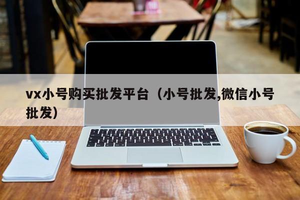 vx小号购买批发平台（小号批发,微信小号批发）