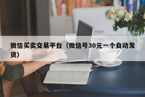 微信买卖交易平台（微信号30元一个自动发货）