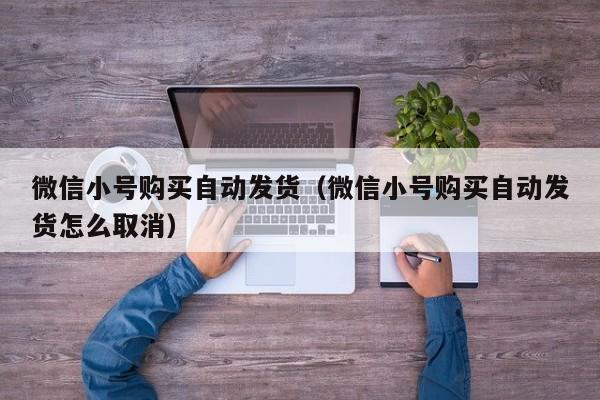 微信小号购买自动发货（微信小号购买自动发货怎么取消）