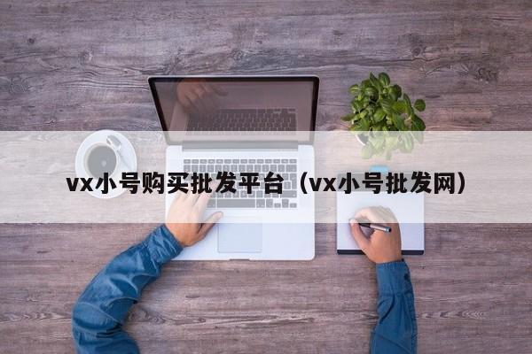 vx小号购买批发平台（vx小号批发网）