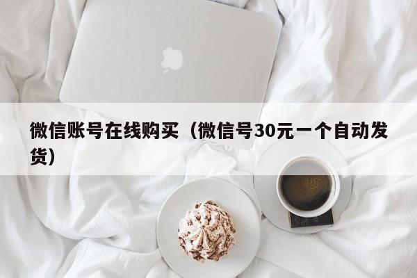 微信账号在线购买（微信号30元一个自动发货）