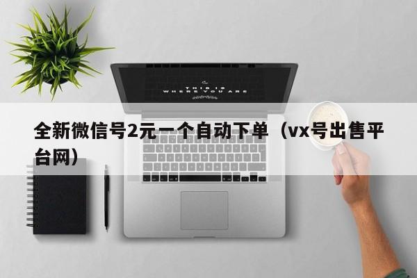 全新微信号2元一个自动下单（vx号出售平台网）