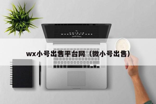 wx小号出售平台网（微小号出售）