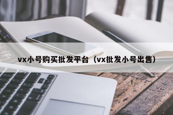 vx小号购买批发平台（vx批发小号出售）