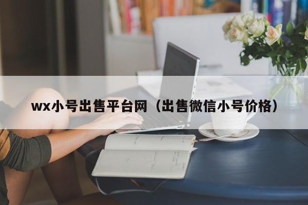 wx小号出售平台网（出售微信小号价格）
