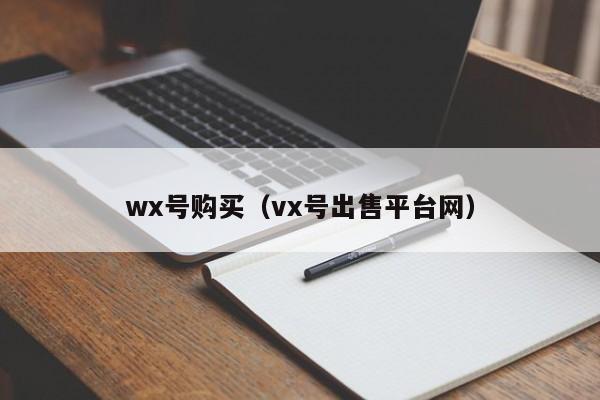 wx号购买（vx号出售平台网）